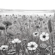 Tasación de suelo rústico, campo con flores